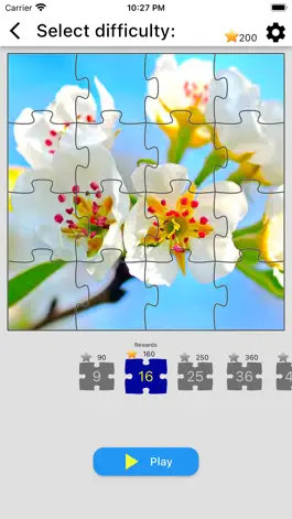 Game screenshot Jigsaw Puzzles Collections mod apk
