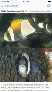 lord howe fish id iphone screenshot 3