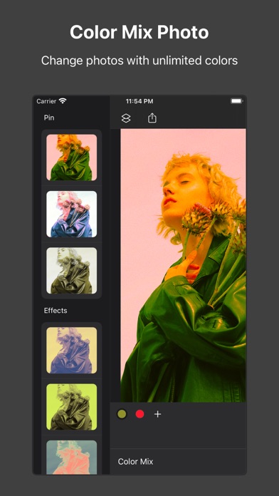 Picsso - colorize the photo Screenshot