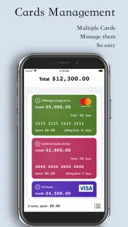 credit cards manager iphone screenshot 1