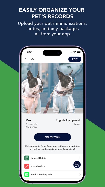 Pampered Paws Tifton