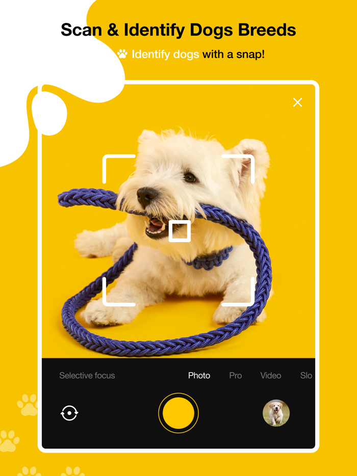 Dog scanner - Dog Breed ID