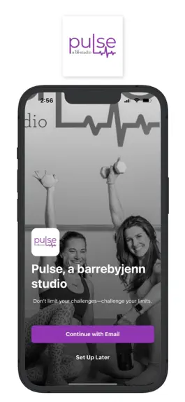 Game screenshot Pulse Studio mod apk