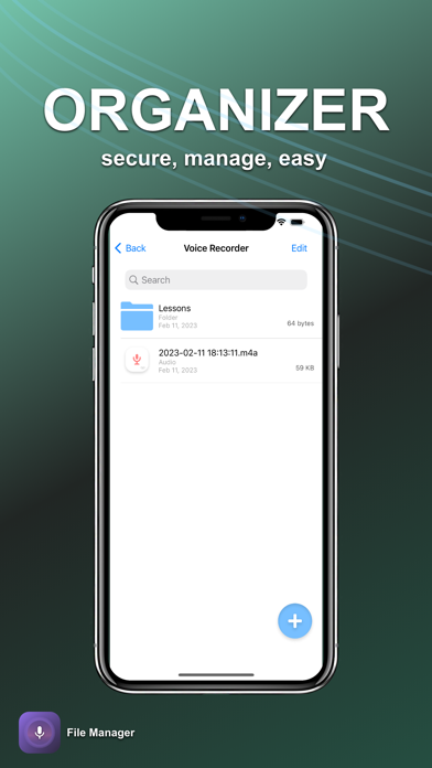 Voice Recorder - PRO Screenshot