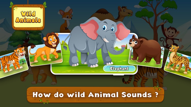 Animal Sound for learning