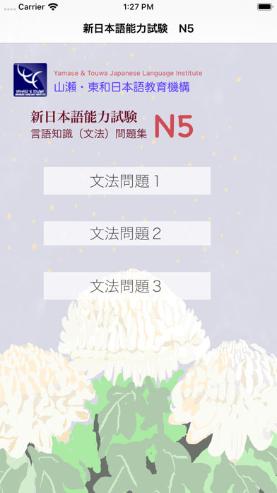 JLPT Ｎ５文法問題集 Screenshot