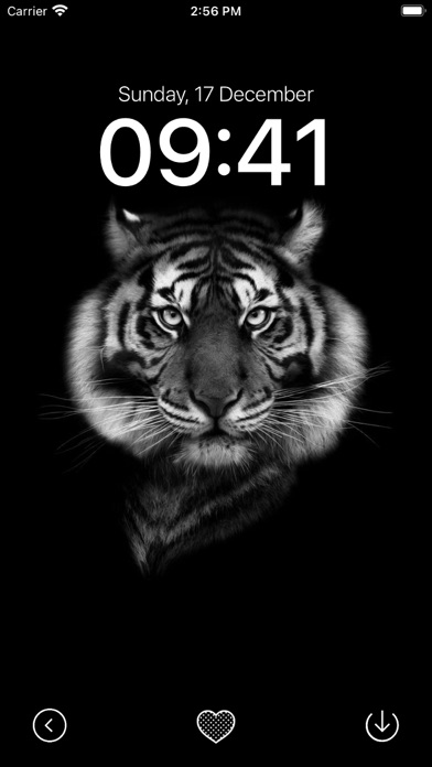 Black Wallpaper App Screenshot
