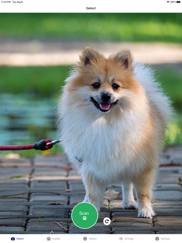 Dog Breed Identifier - PupDexのおすすめ画像4