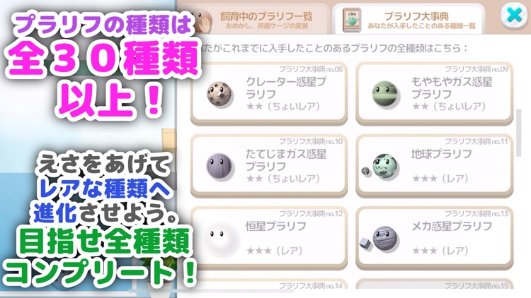 Plariff - プラリフ