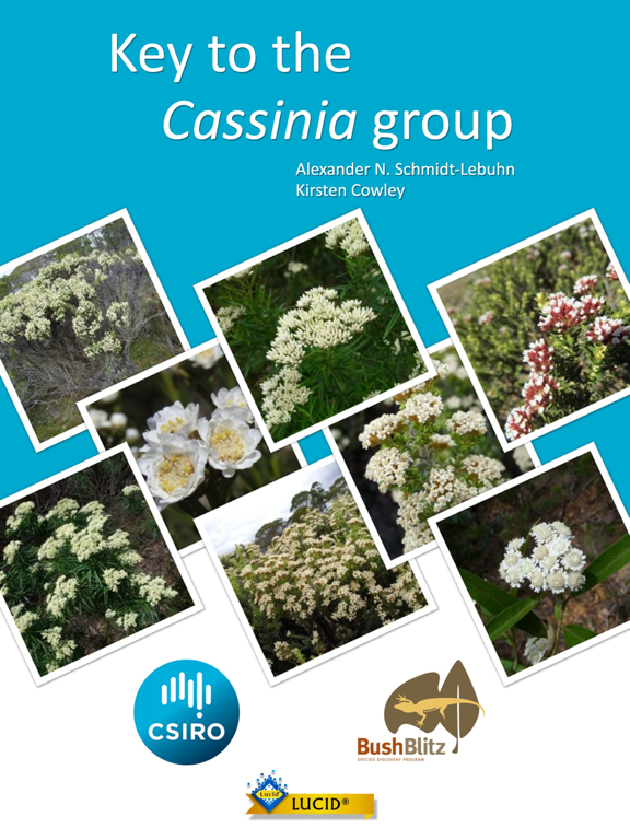 Screenshot #4 pour Key to the Cassinia group