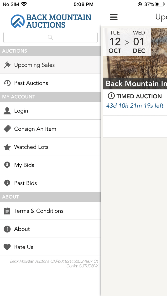 Back Mountain Auctions