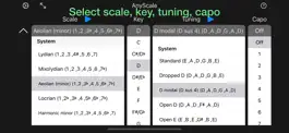 Game screenshot AnyScale - Tunings & Scales apk