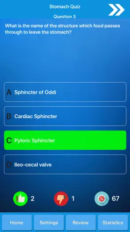Game screenshot Digestive System Physiology hack
