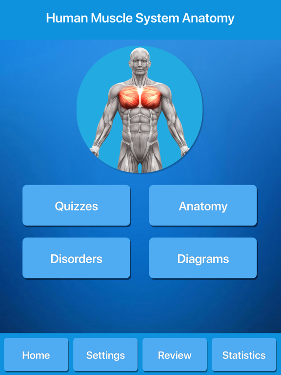 Screenshot #4 pour Muscle System Anatomy
