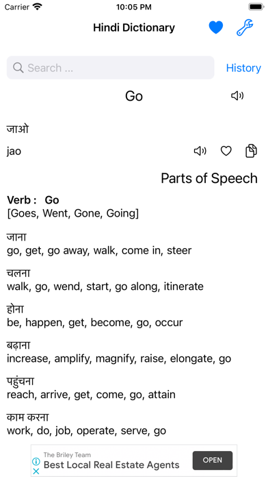 Smart Hindi Dictionary Screenshot