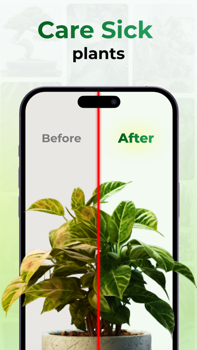 Plant Identifier by Picture Screenshot