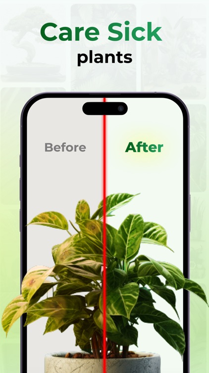 Plant Identifier by Picture screenshot-5