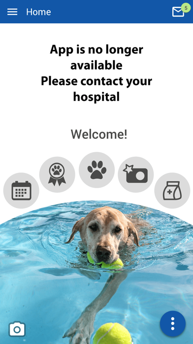 AnimalJunctionVet Screenshot