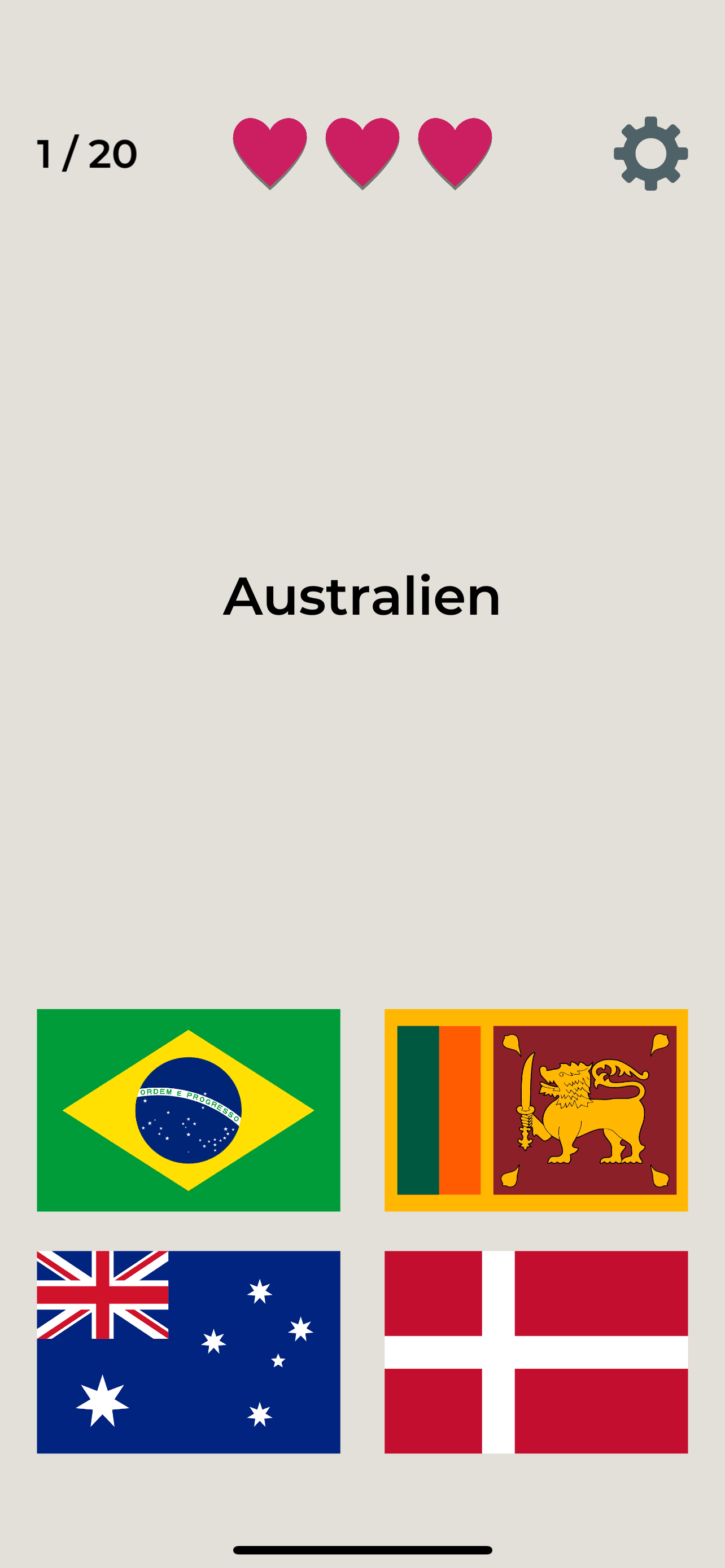 Flaggen Spiel