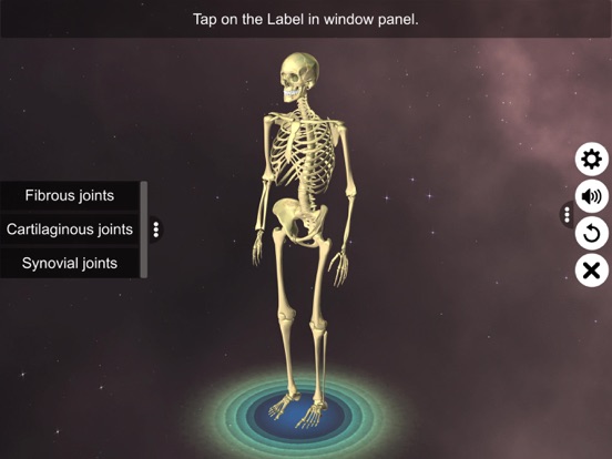 Screenshot #5 pour Joints: The Human Levers
