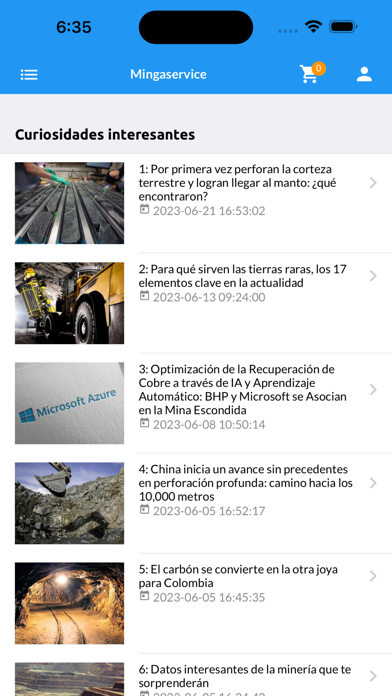 Mingaservice Screenshot