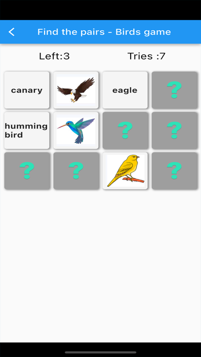 Find the pairs - Birds game Screenshot
