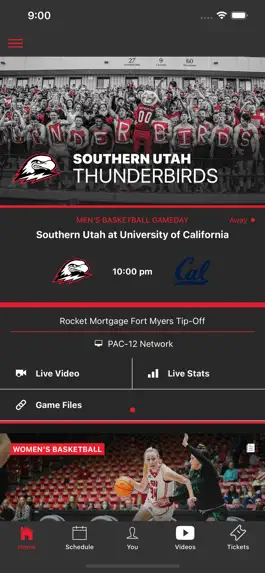 Game screenshot Southern Utah Thunderbirds mod apk
