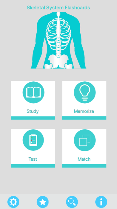 Screenshot #1 pour Skeletal System Flashcards