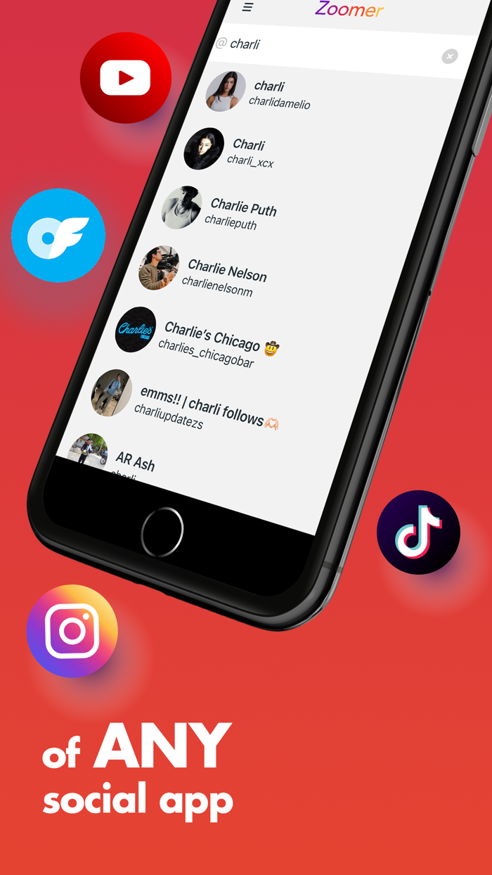 Zoomer - DP enlarger