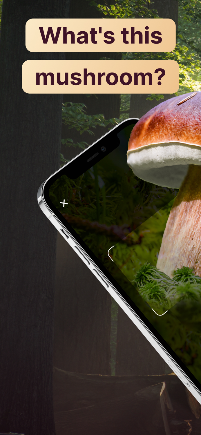 Mushroom Identification