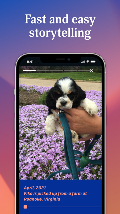 StoryMaps App Screenshot