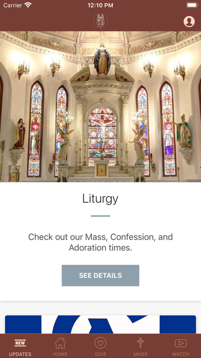 saintpatrickcathedralfortworth Screenshot