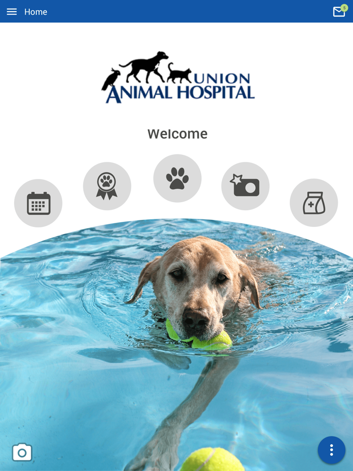 Union Animal Hospital