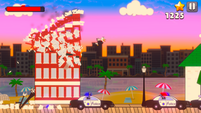 Seagull Smash Screenshot