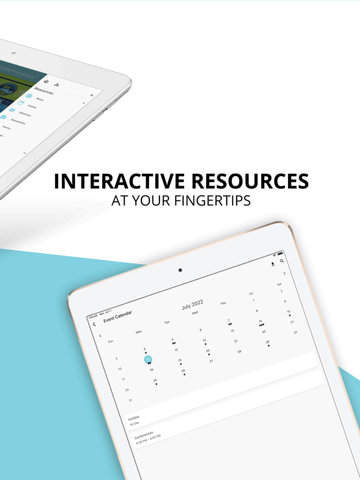 Isle of Wight Schools