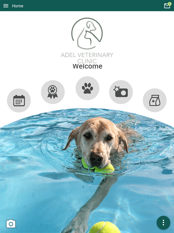 Adel Veterinary Clinic iPad screenshot 1 - Business app