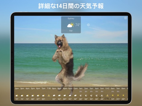 犬の天気ライブのおすすめ画像3