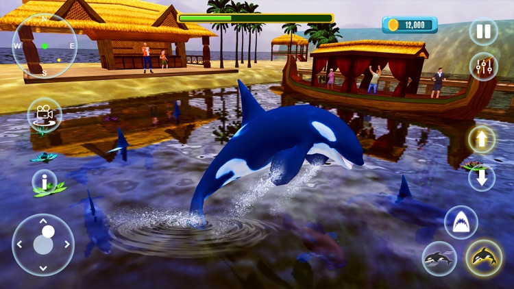 Orca Killer Whale Simulator screenshot-4