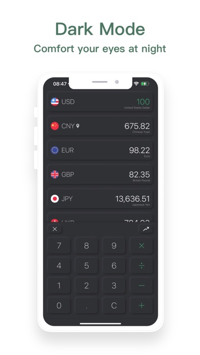 Currency Converter & Widget Screenshot