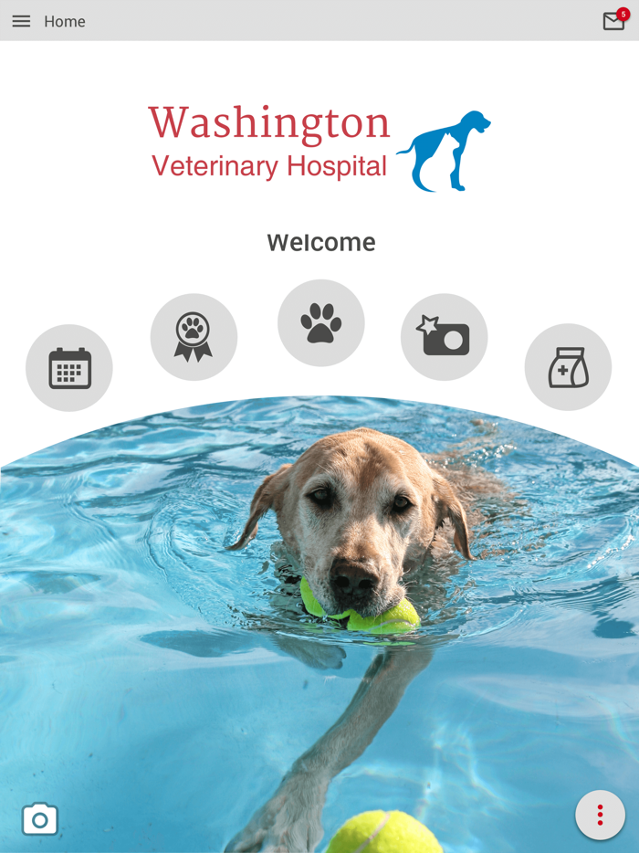 Washington Vet Hospital