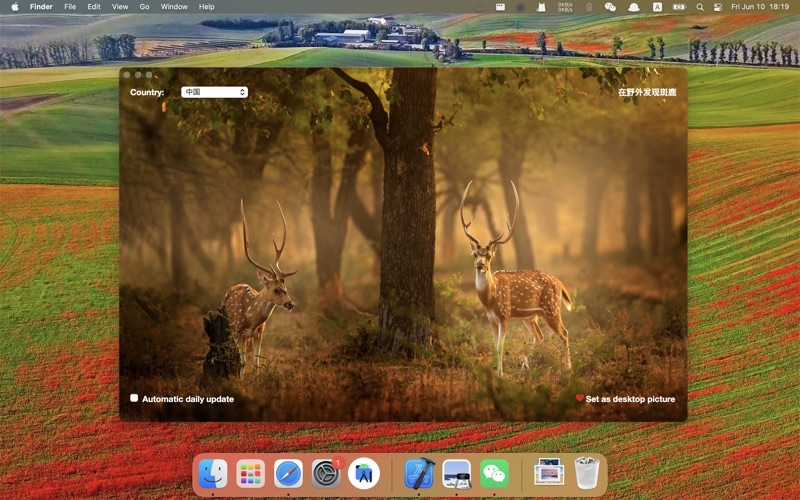 Screenshot #2 pour DailyWallpaper