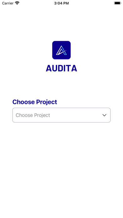 Audita - Inspection & Auditing Screenshot