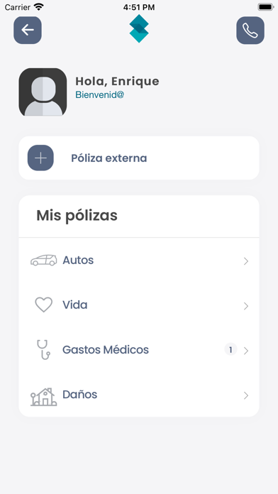 Cortina Consultores Screenshot