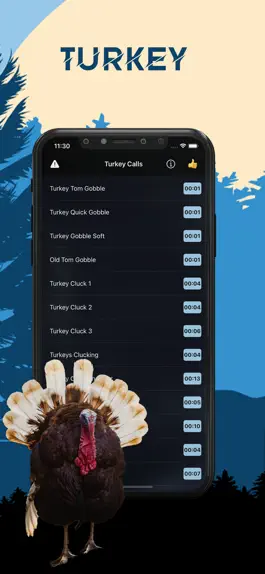 Game screenshot Turkey Magnet - Turkey Calls mod apk