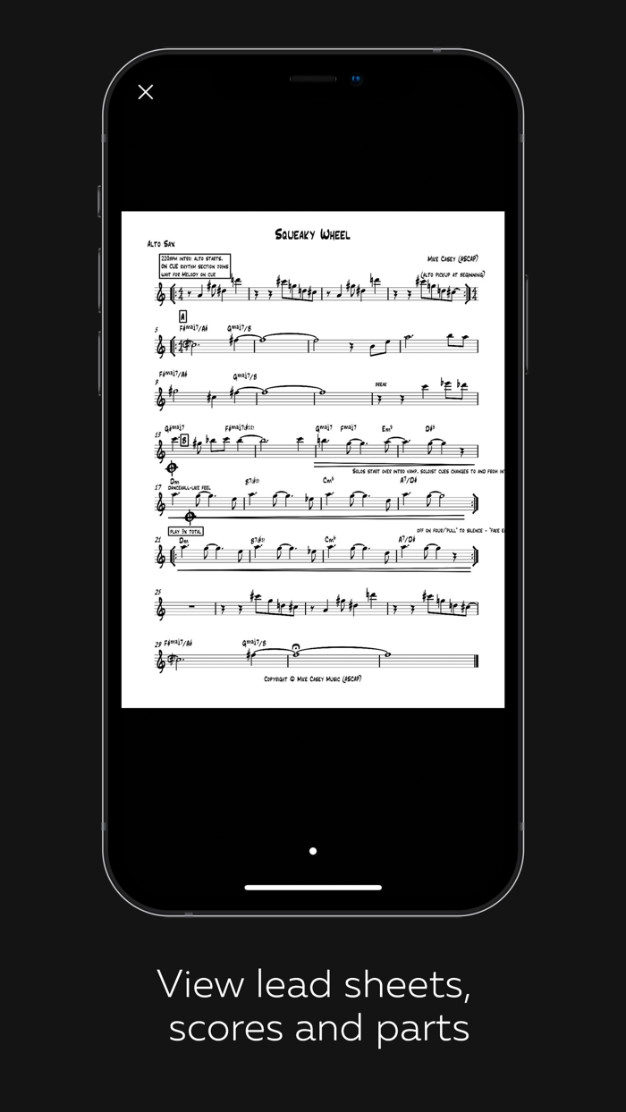 Mike Casey - Law of Attraction