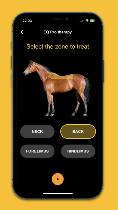 EQ Pro Therapy Screenshot