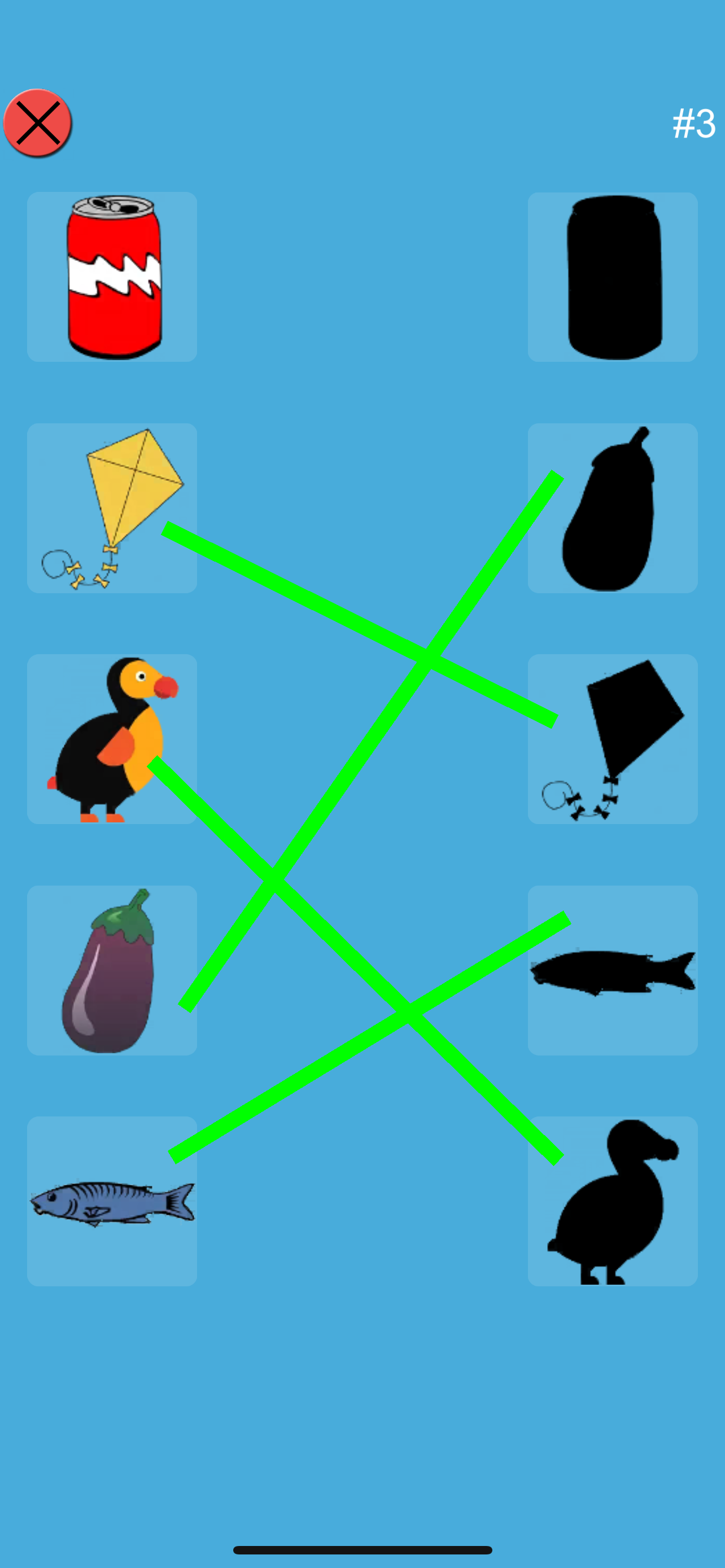 Match The Picture Shadow