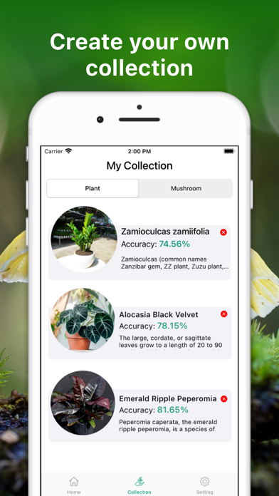 Leaf Identification Plant ID Screenshot