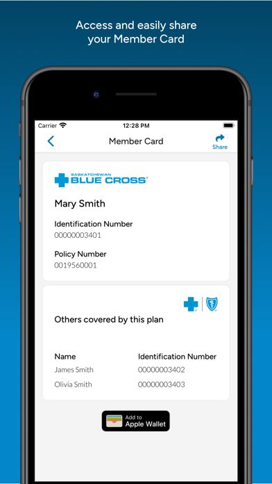SK Blue Cross: Group Screenshot