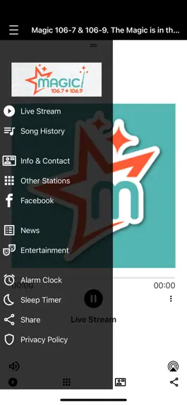 Game screenshot Twin Tiers Magic apk